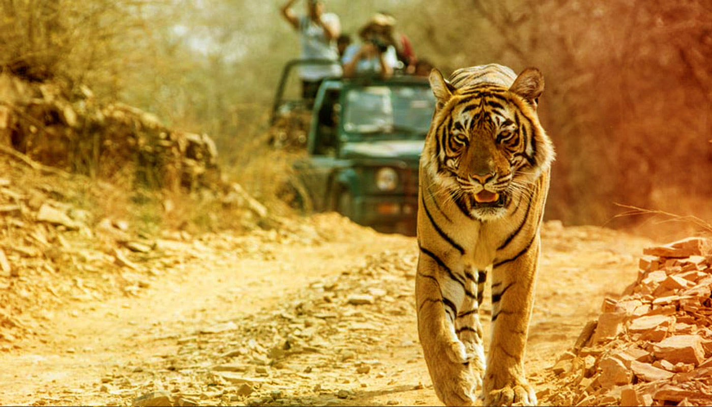 Corbett National Park And Nainital Tour Packages From Delhi